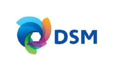DSM