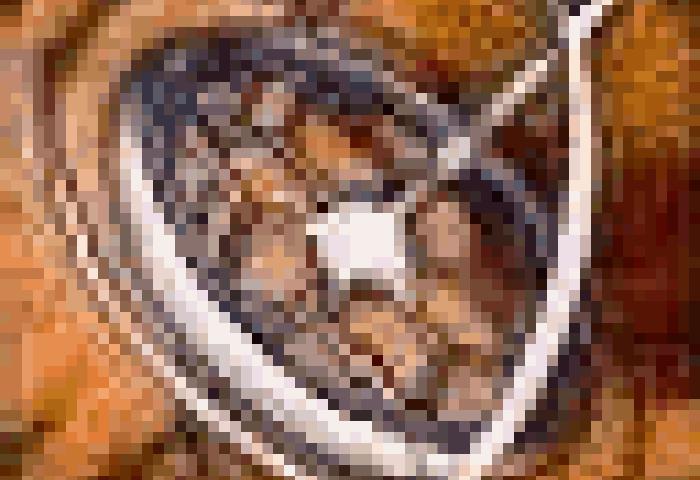 <nil> image 0